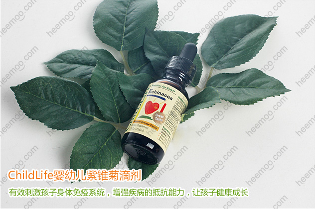 紫锥菊滴剂-一米工程_06.jpg