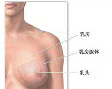 产褥期乳腺炎的图片