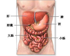 肠扭转综合征的图片