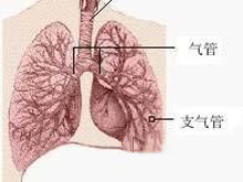 迁延性肺嗜酸粒细胞浸润症的图片