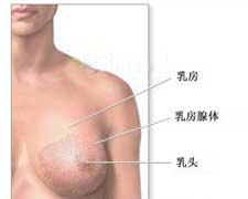 乳腺增生的图片