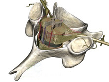 枢椎椎体骨折的图片