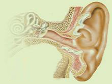 外耳道疖肿的图片