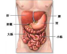 胃肠型食物中毒的图片