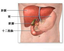 胃切除后胆汁返流性胃炎的图片