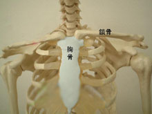 先天性锁骨假关节的图片