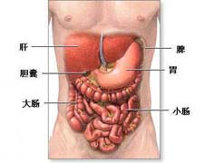 大肠癌的图片