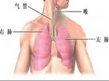 新生儿湿肺的图片