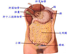 原发性腹膜后肿瘤的图片