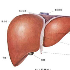 致死性肝内胆汁淤积综合征的图片