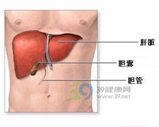 阿米巴肝脓肿的图片