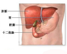 肝脓肿的图片