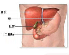 肝炎后综合征的图片