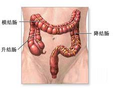 肛管、直肠、结肠狭窄的图片