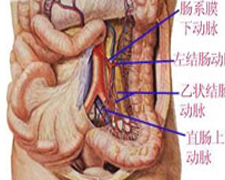 结核性肠系膜淋巴结炎的图片